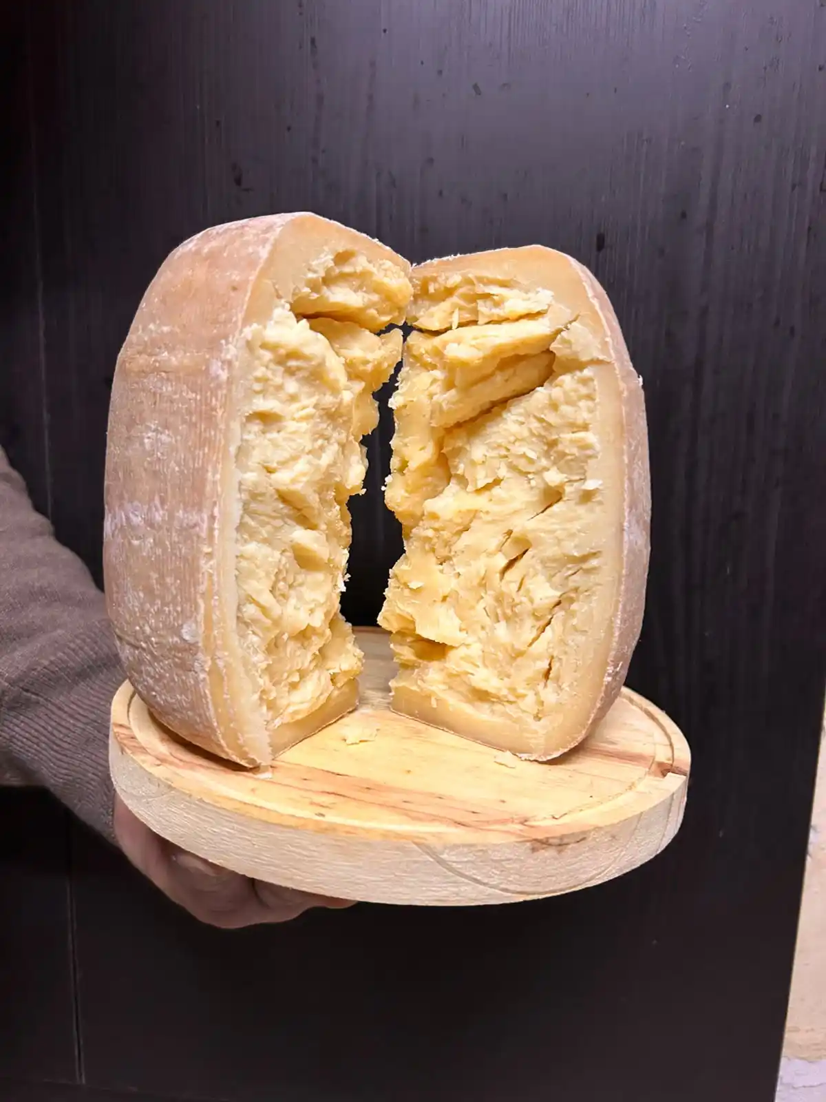 Queso Sardo Estacionado