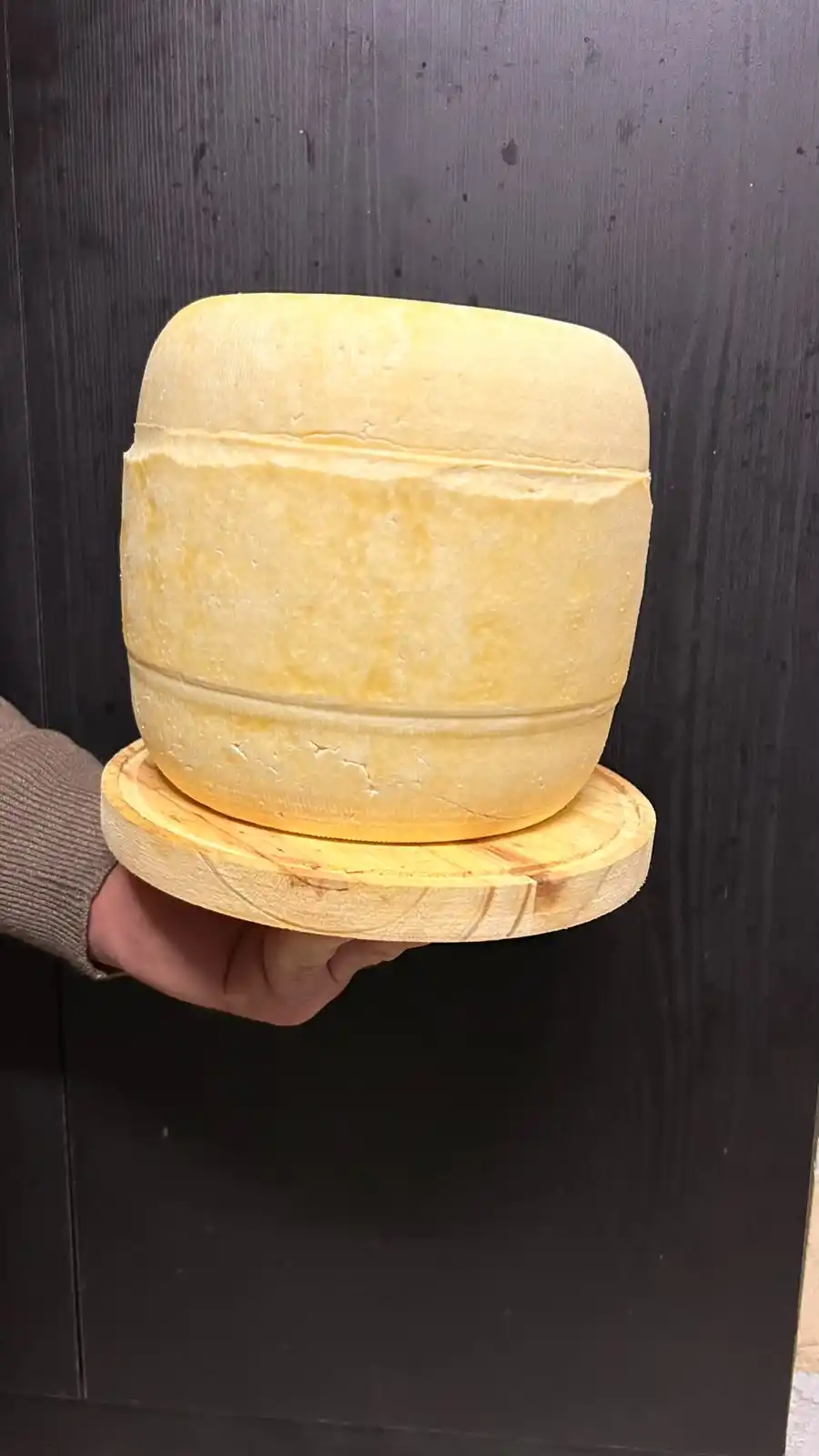 Queso Sardo Fresco