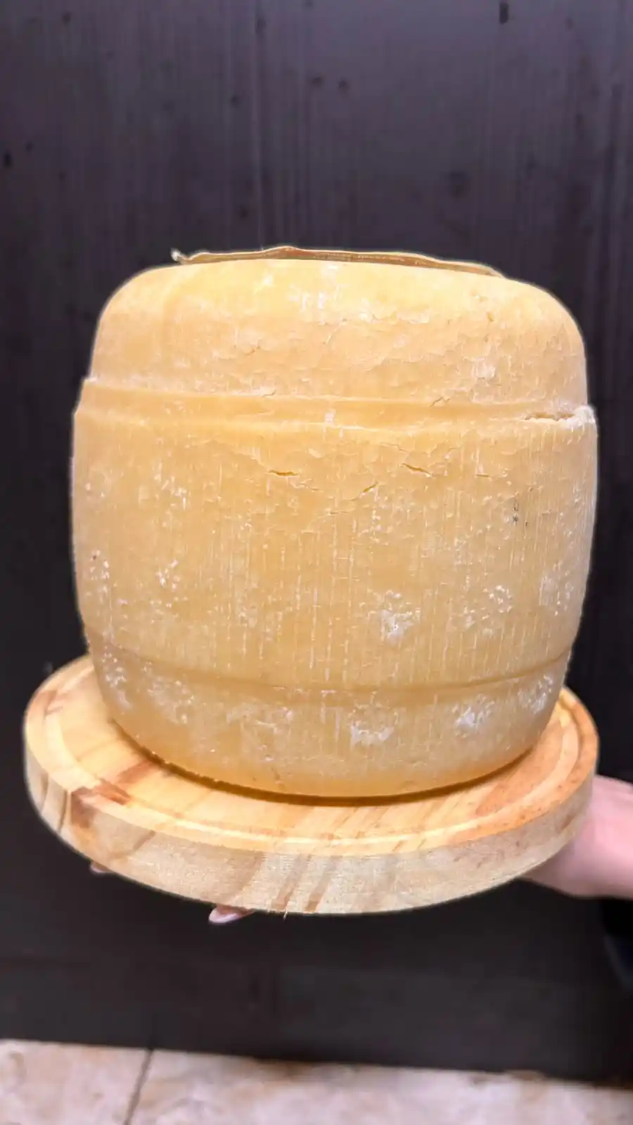 Queso Sardo Semiestacionado